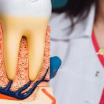 Bold Dental
