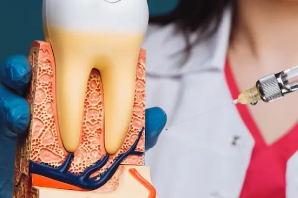 Bold Dental