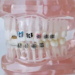 Bold Dental
