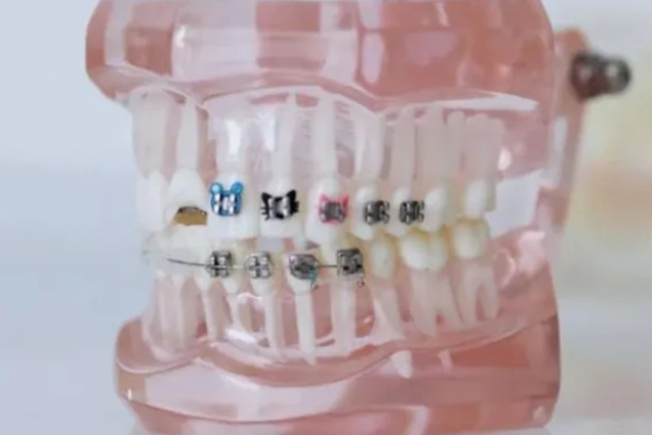 Bold Dental